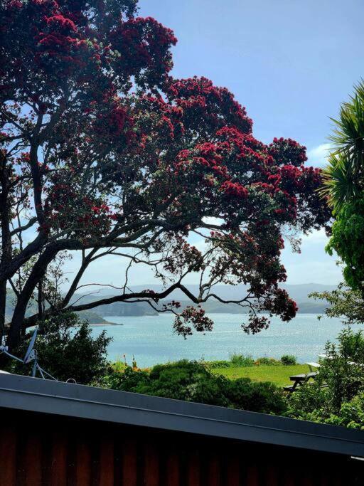 Orca Lodge Raglan Kültér fotó